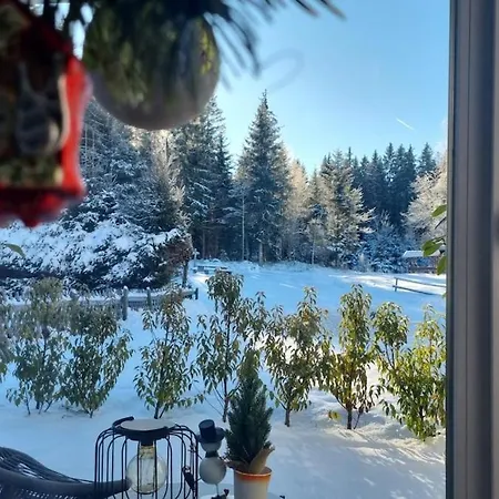 Apartman Waldgefluester 2-Zi-Designoase Mit Terrasse Und Tiefgarage Im Neubau *