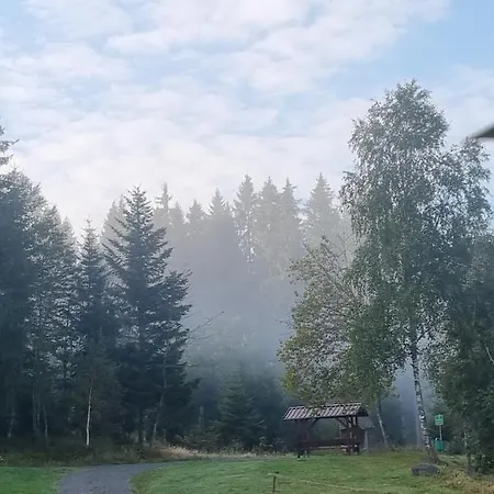 Apartman Waldgefluester 2-Zi-Designoase Mit Terrasse Und Tiefgarage Im Neubau *