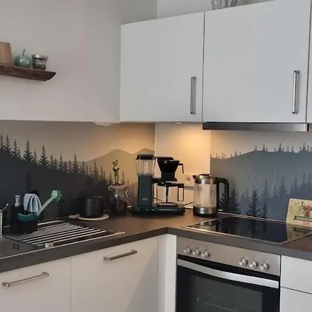 Waldgefluester 2-Zi-Designoase Mit Terrasse Und Tiefgarage Im Neubau Schluchsee