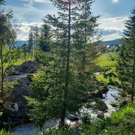 Waldgefluester 2-Zi-Designoase Mit Terrasse Und Tiefgarage Im Neubau * Schluchsee